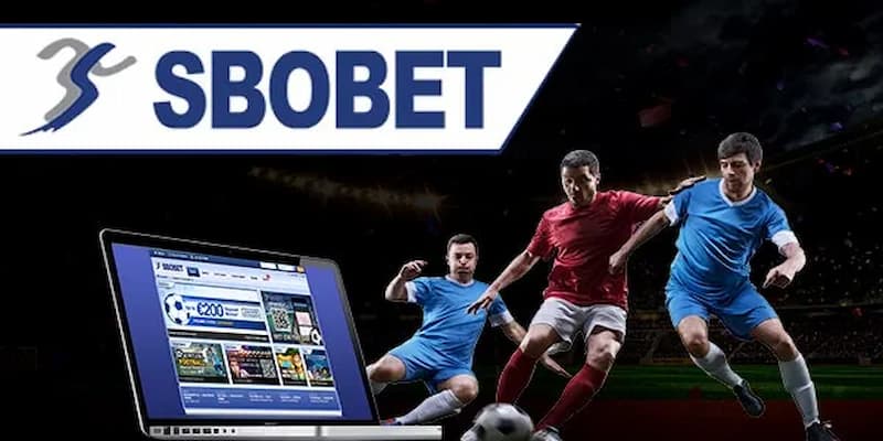 Giới thiệu tổng quan về Sbobet tại Tỷ lệ bóng đá