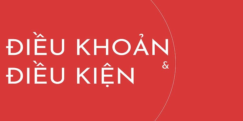 Vai trò quan trọng của điều kiện điều khoản trong hệ thống cá cược